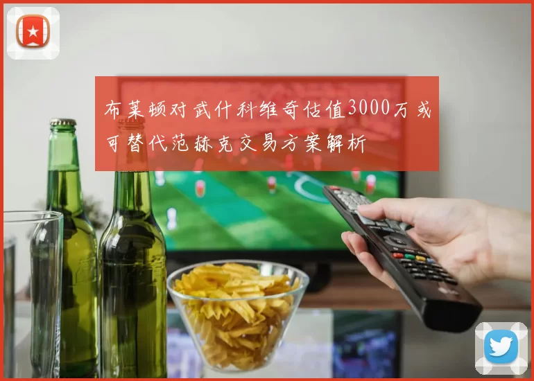 布莱顿对武什科维奇估值3000万或可替代范赫克交易方案解析