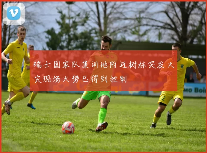 瑞士国家队集训地附近树林突发火灾现场火势已得到控制